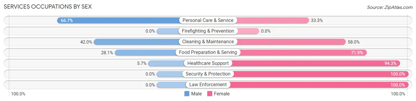 Services Occupations by Sex in North Sioux City