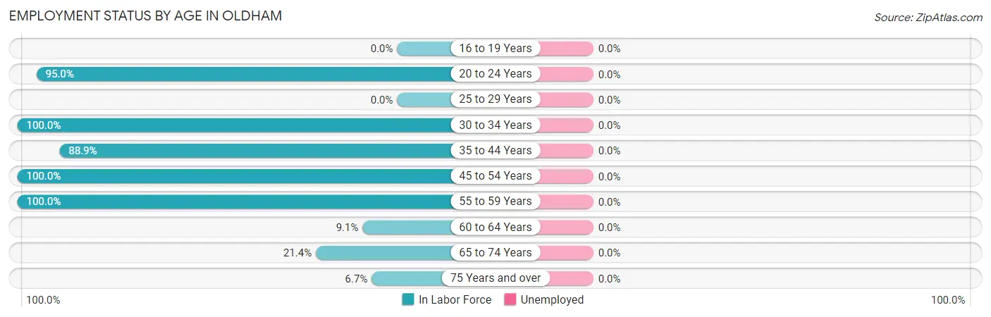Employment Status by Age in Oldham