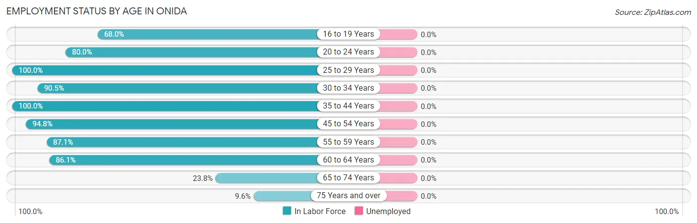 Employment Status by Age in Onida