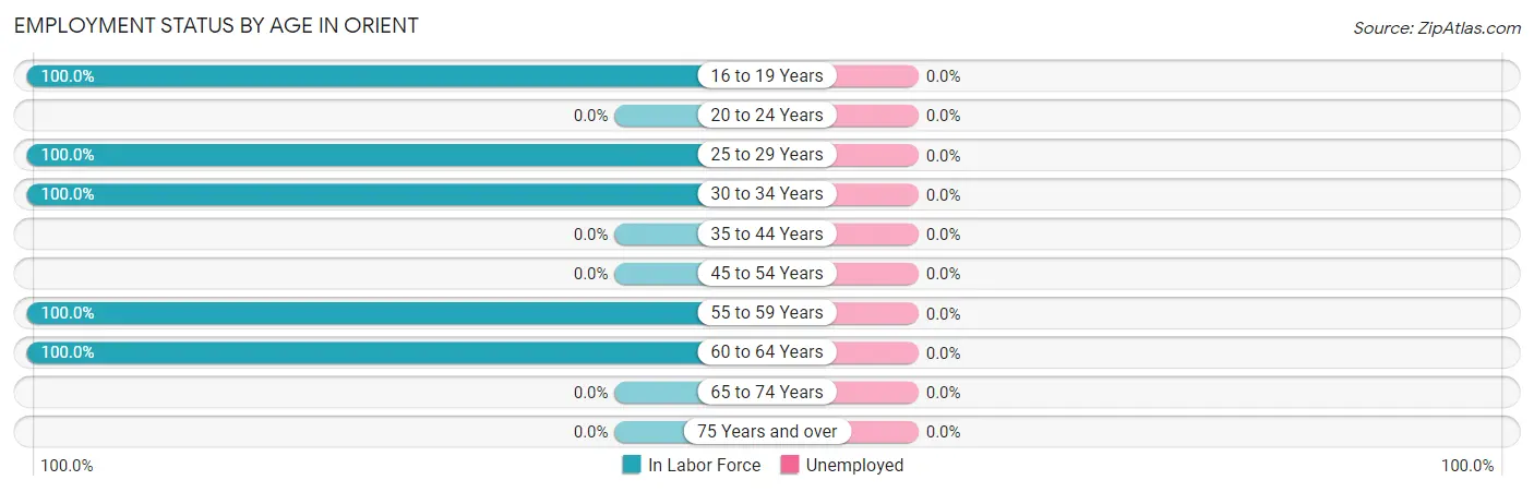 Employment Status by Age in Orient