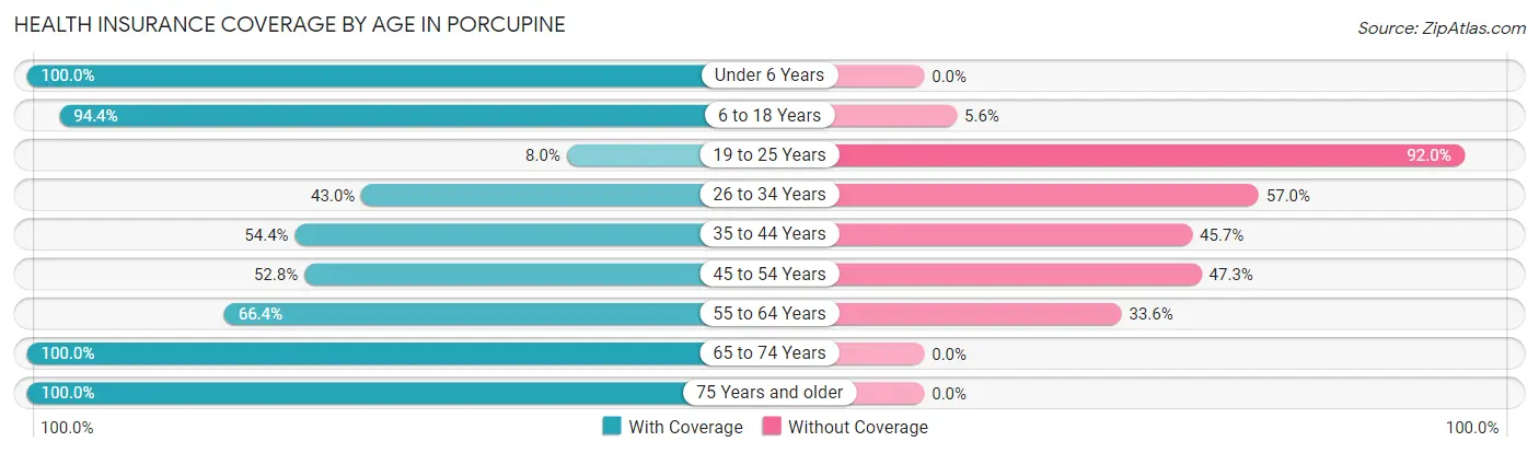 Health Insurance Coverage by Age in Porcupine