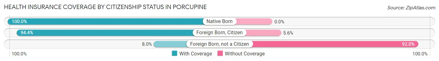 Health Insurance Coverage by Citizenship Status in Porcupine