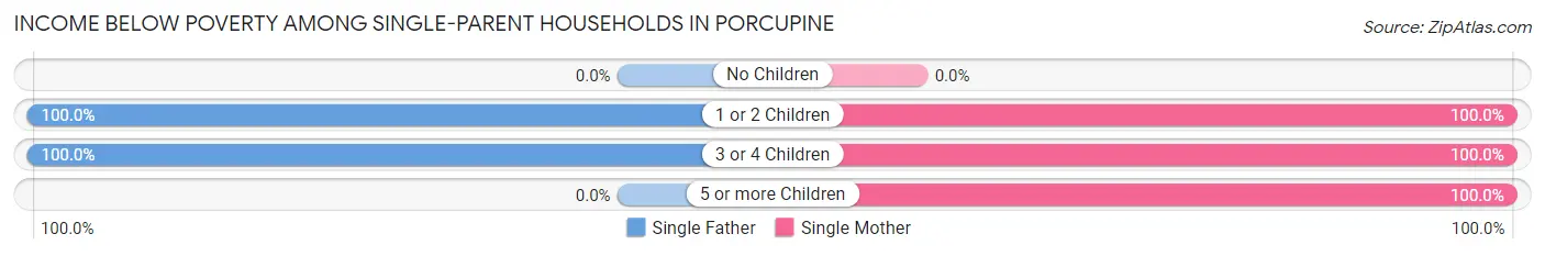 Income Below Poverty Among Single-Parent Households in Porcupine