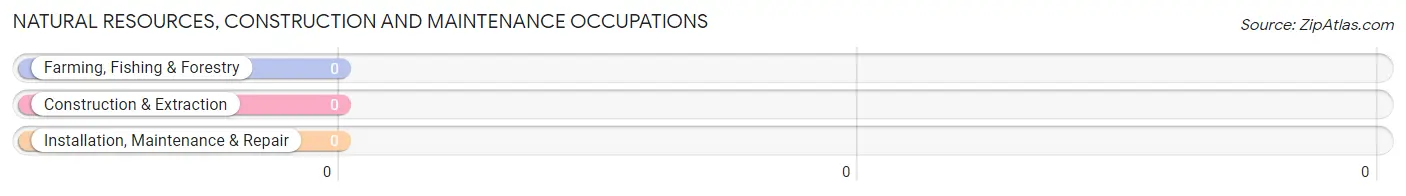 Natural Resources, Construction and Maintenance Occupations in Prairie City