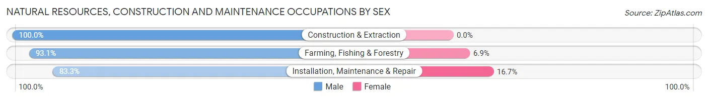 Natural Resources, Construction and Maintenance Occupations by Sex in Ramona