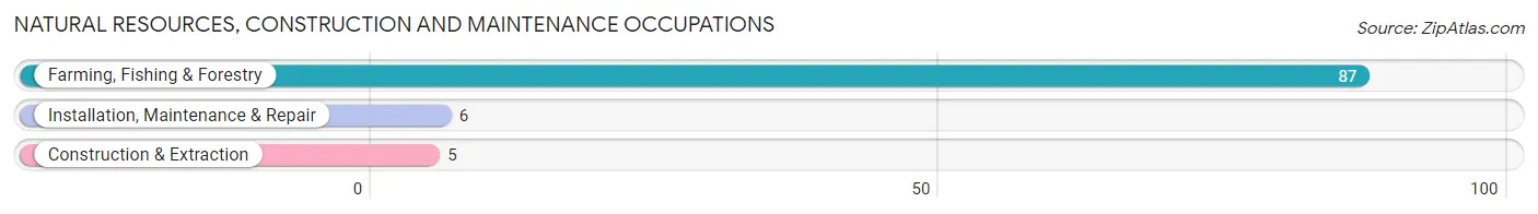 Natural Resources, Construction and Maintenance Occupations in Ramona