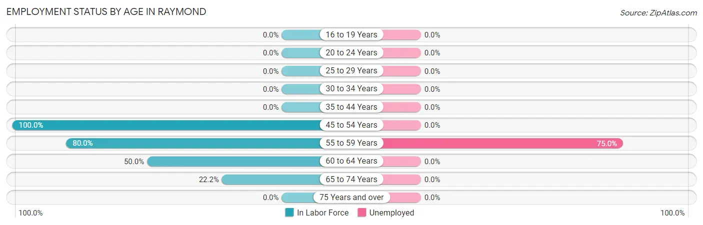 Employment Status by Age in Raymond