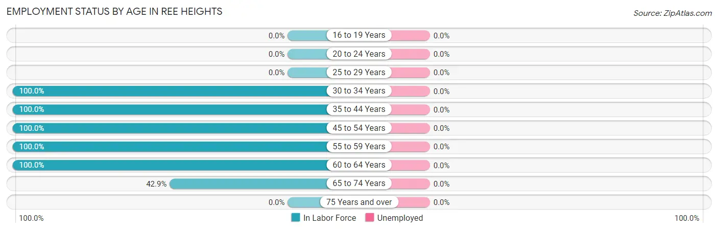Employment Status by Age in Ree Heights
