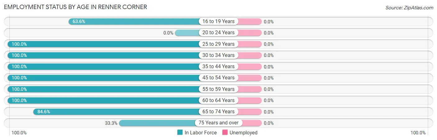 Employment Status by Age in Renner Corner