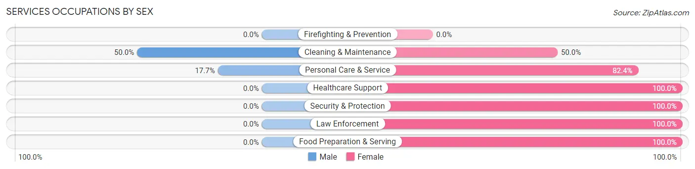 Services Occupations by Sex in Salem