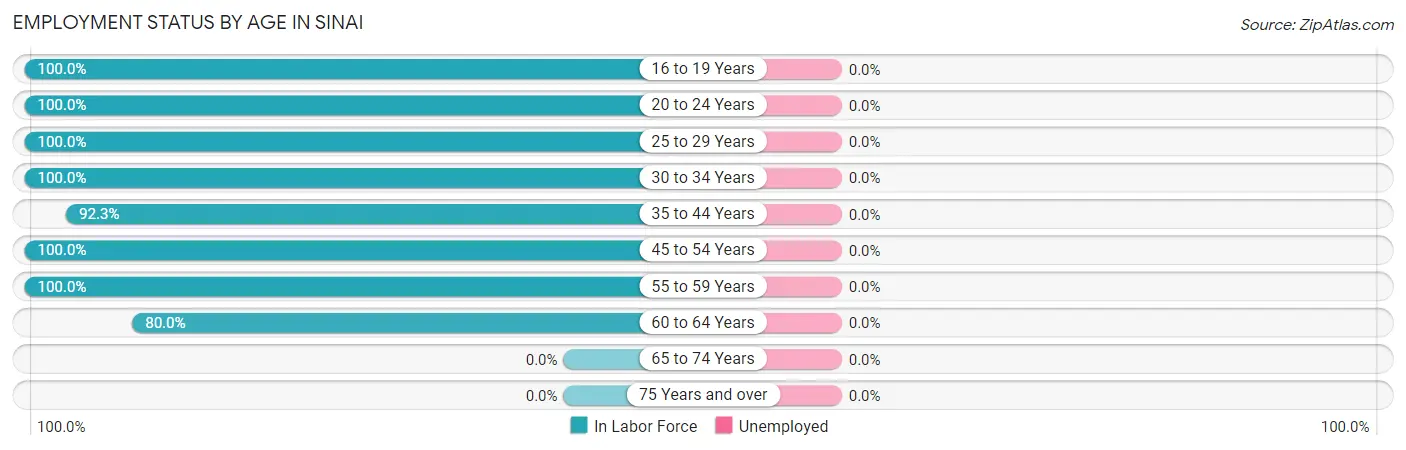 Employment Status by Age in Sinai
