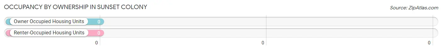 Occupancy by Ownership in Sunset Colony