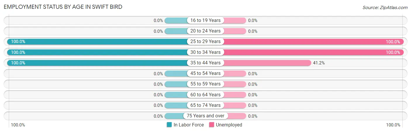 Employment Status by Age in Swift Bird