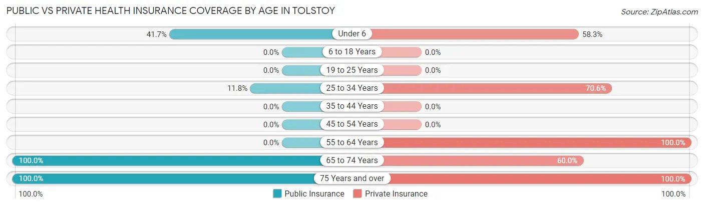 Public vs Private Health Insurance Coverage by Age in Tolstoy