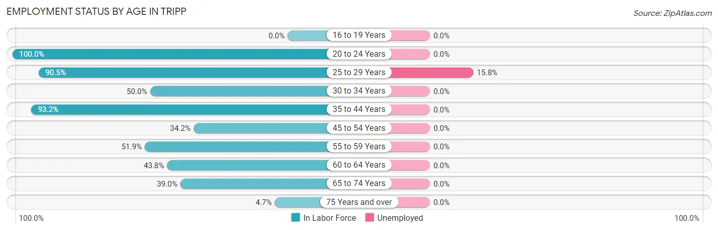 Employment Status by Age in Tripp