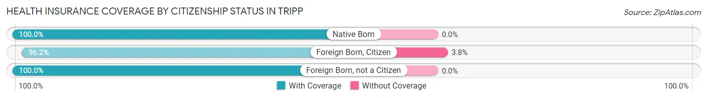 Health Insurance Coverage by Citizenship Status in Tripp