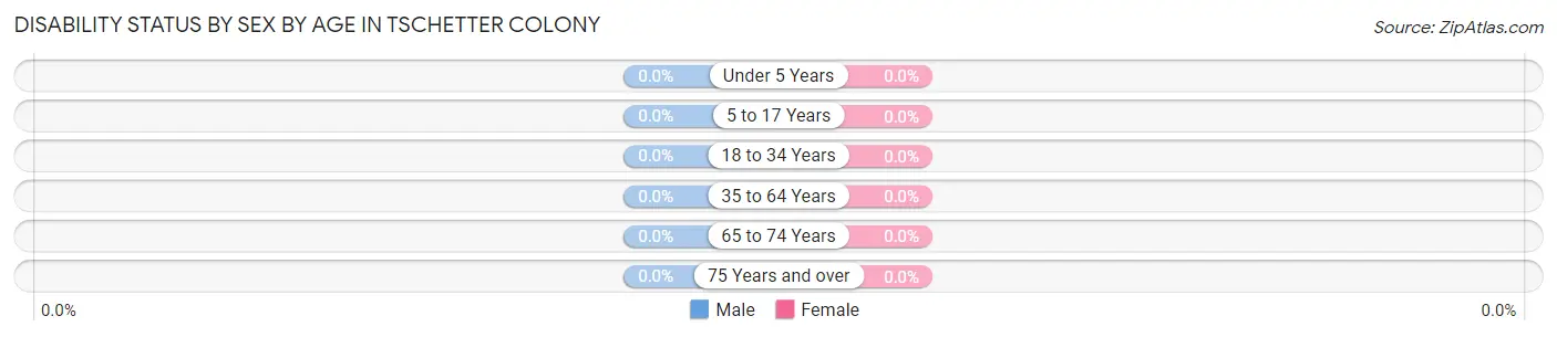 Disability Status by Sex by Age in Tschetter Colony