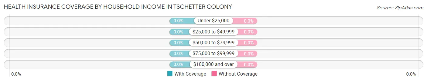 Health Insurance Coverage by Household Income in Tschetter Colony