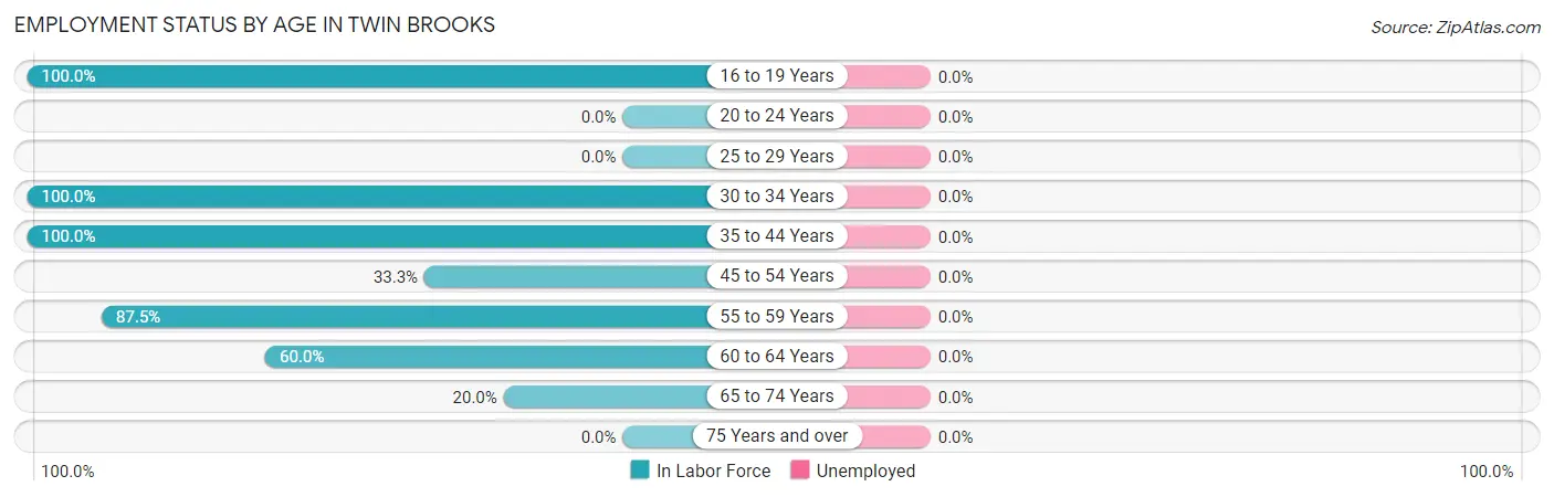 Employment Status by Age in Twin Brooks