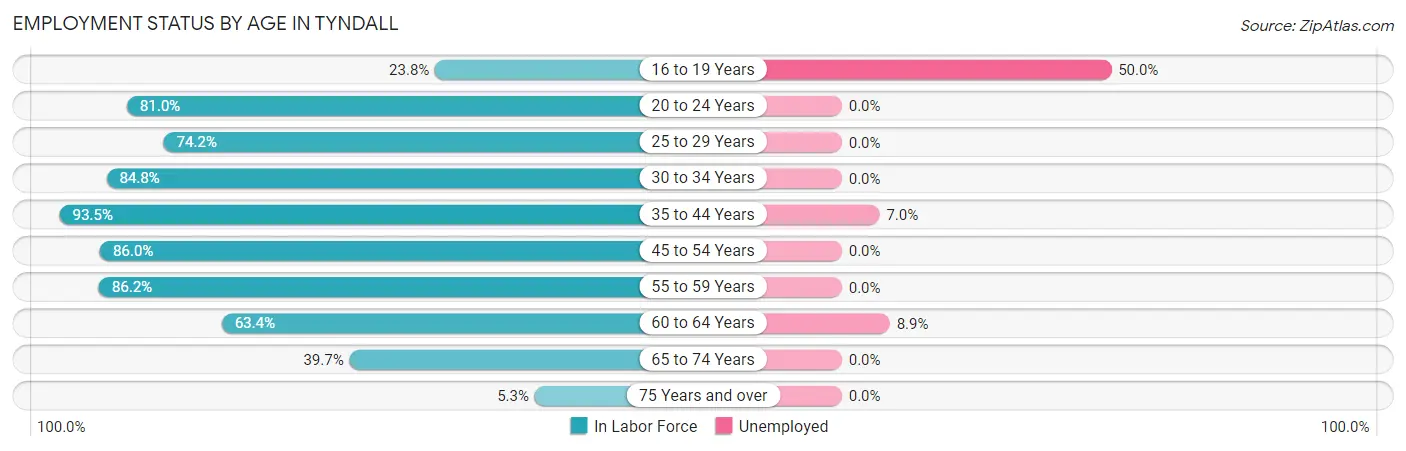 Employment Status by Age in Tyndall