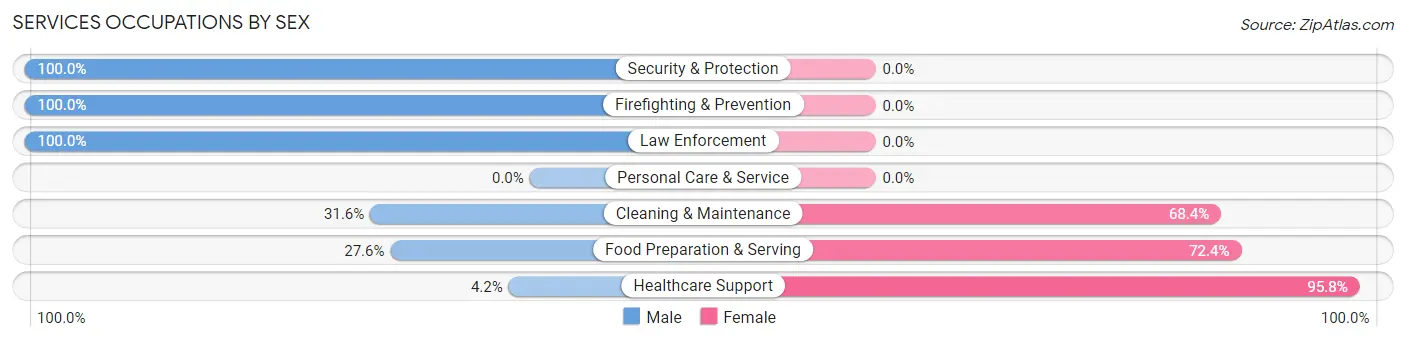 Services Occupations by Sex in Tyndall