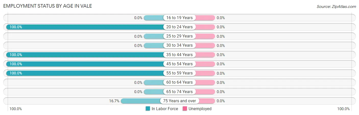 Employment Status by Age in Vale