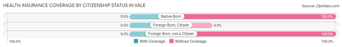Health Insurance Coverage by Citizenship Status in Vale