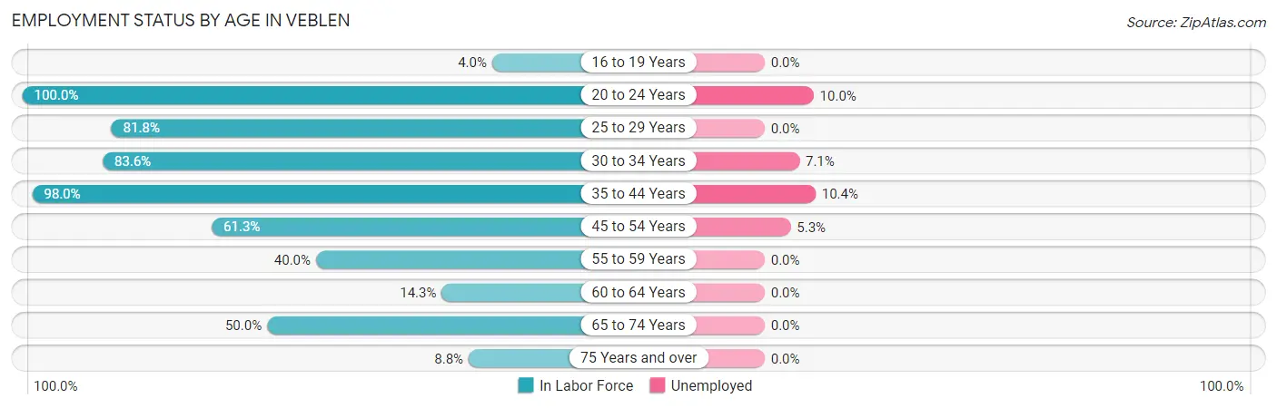 Employment Status by Age in Veblen