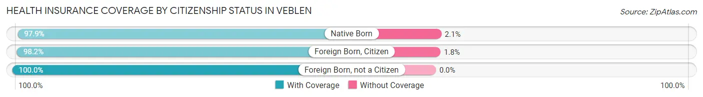 Health Insurance Coverage by Citizenship Status in Veblen