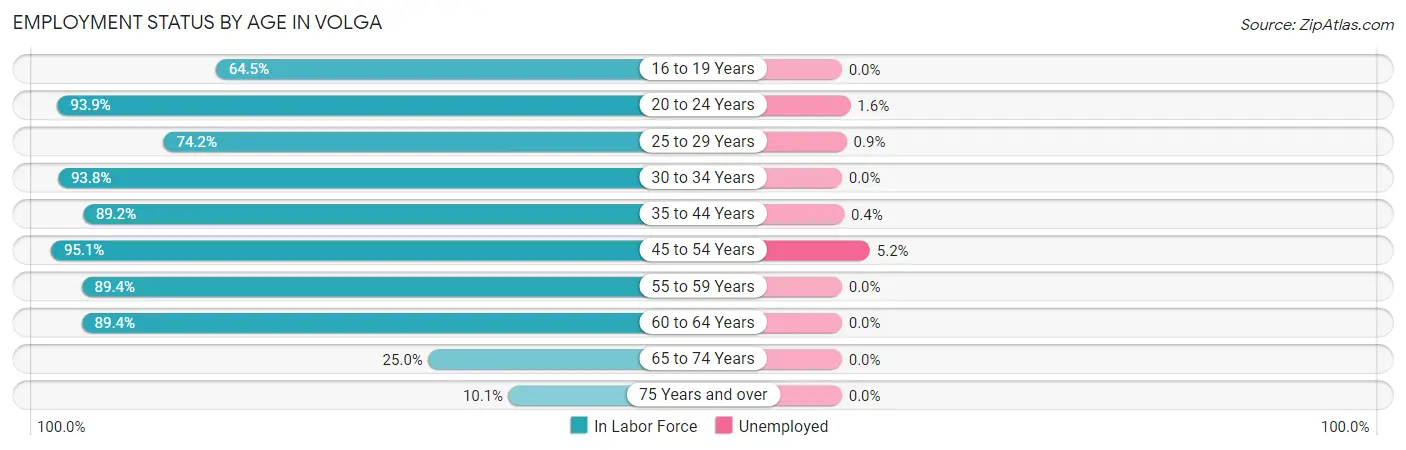 Employment Status by Age in Volga