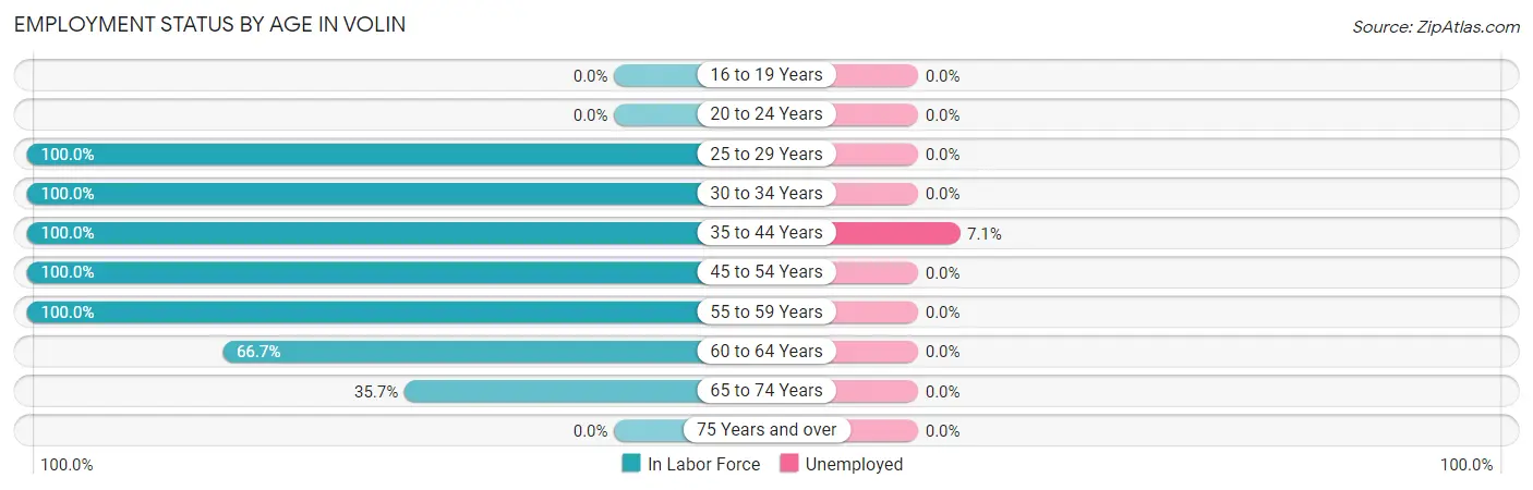 Employment Status by Age in Volin