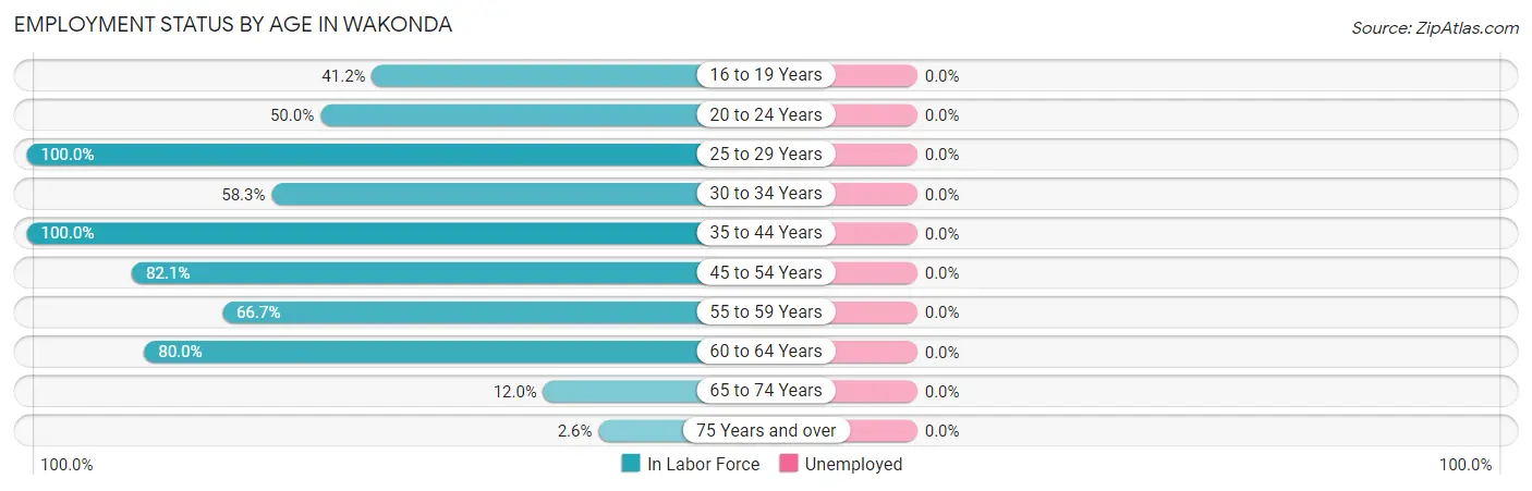 Employment Status by Age in Wakonda