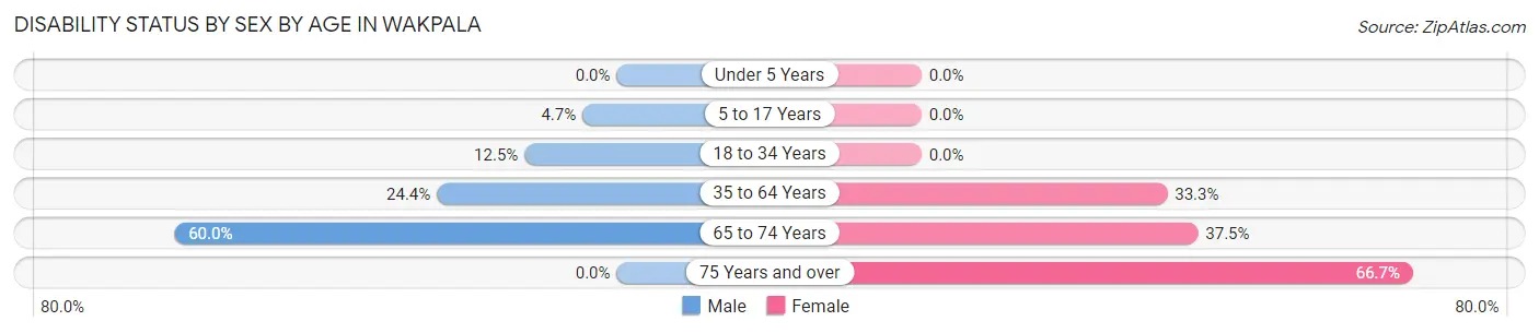 Disability Status by Sex by Age in Wakpala