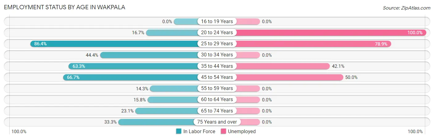Employment Status by Age in Wakpala