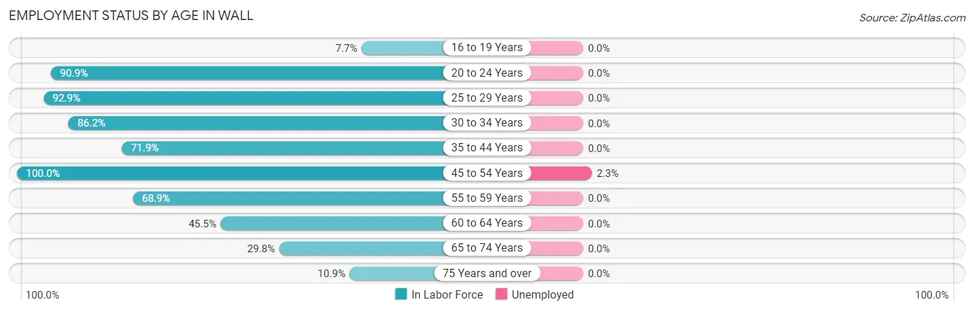 Employment Status by Age in Wall