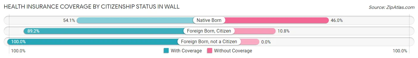Health Insurance Coverage by Citizenship Status in Wall