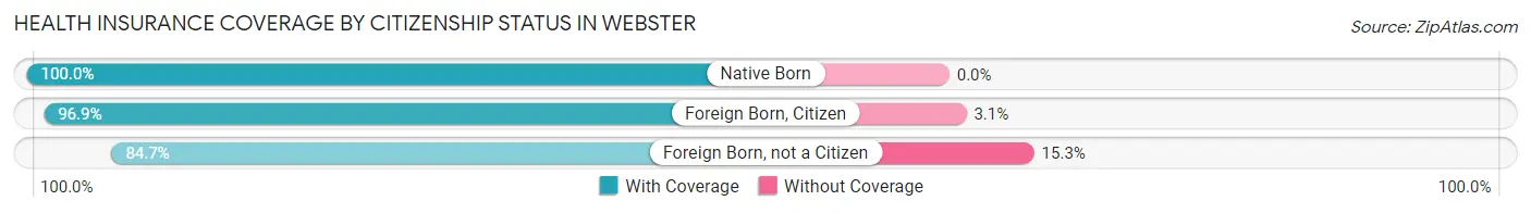 Health Insurance Coverage by Citizenship Status in Webster