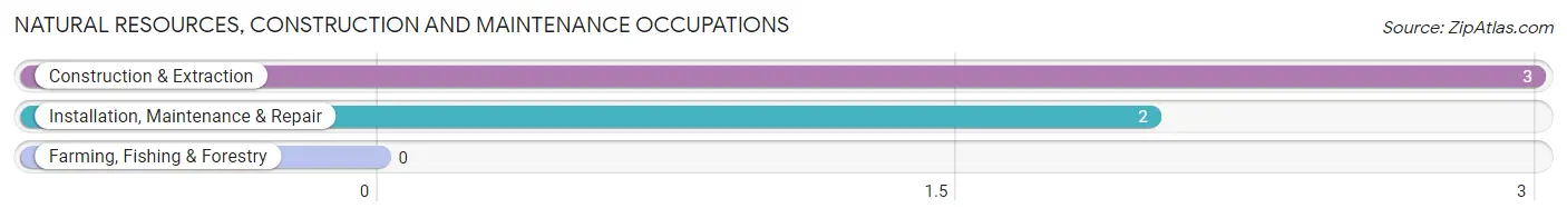 Natural Resources, Construction and Maintenance Occupations in Wessington Springs