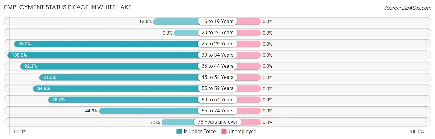 Employment Status by Age in White Lake