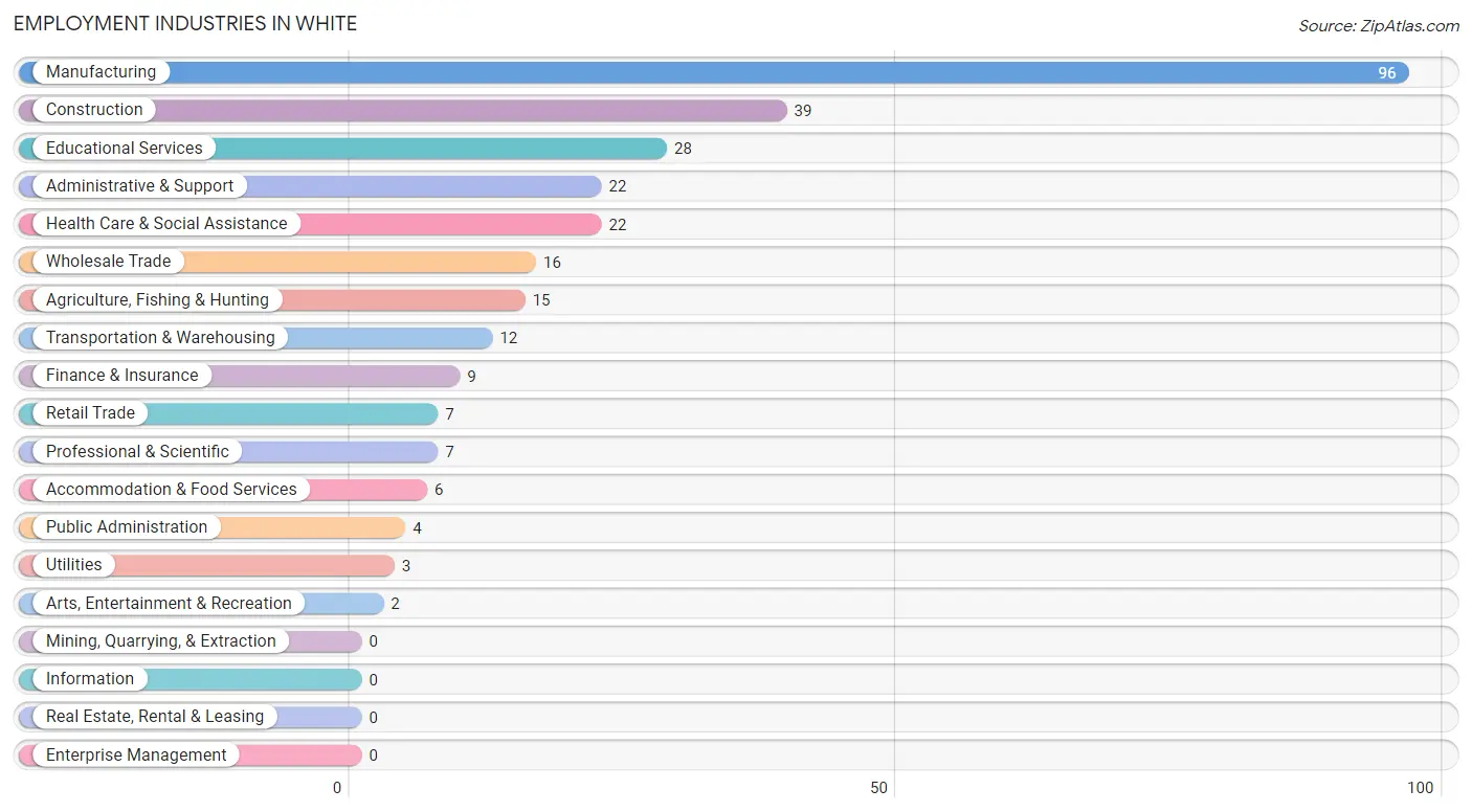 Employment Industries in White