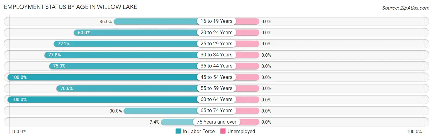 Employment Status by Age in Willow Lake