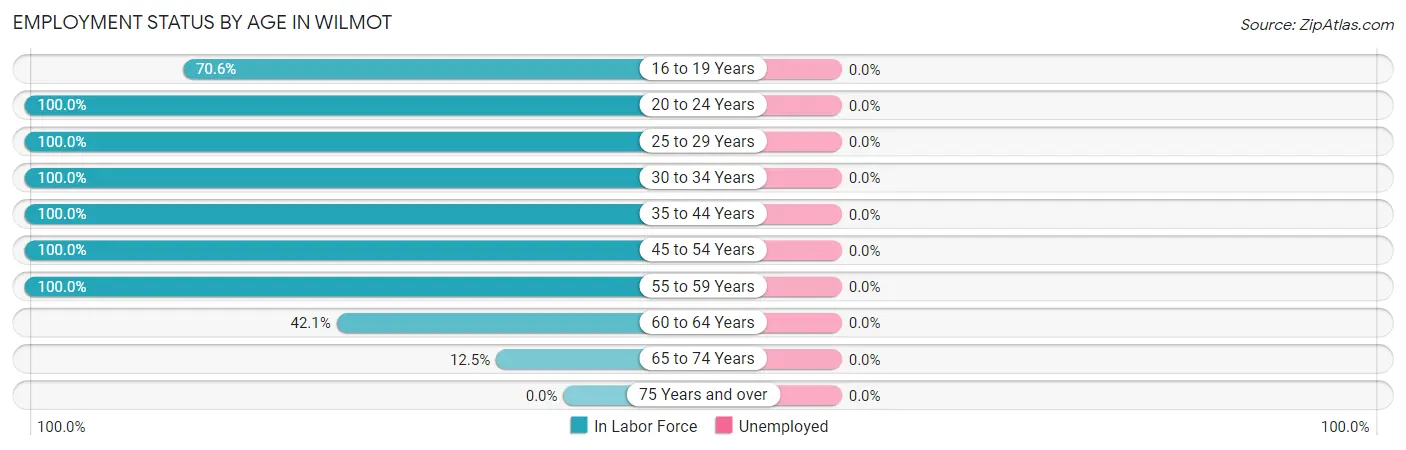 Employment Status by Age in Wilmot