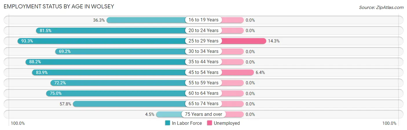 Employment Status by Age in Wolsey