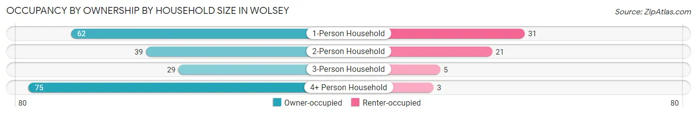 Occupancy by Ownership by Household Size in Wolsey