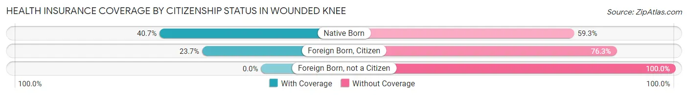 Health Insurance Coverage by Citizenship Status in Wounded Knee