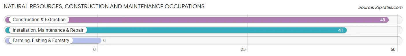 Natural Resources, Construction and Maintenance Occupations in Adamsville