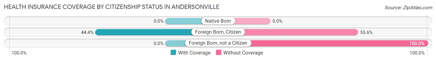 Health Insurance Coverage by Citizenship Status in Andersonville