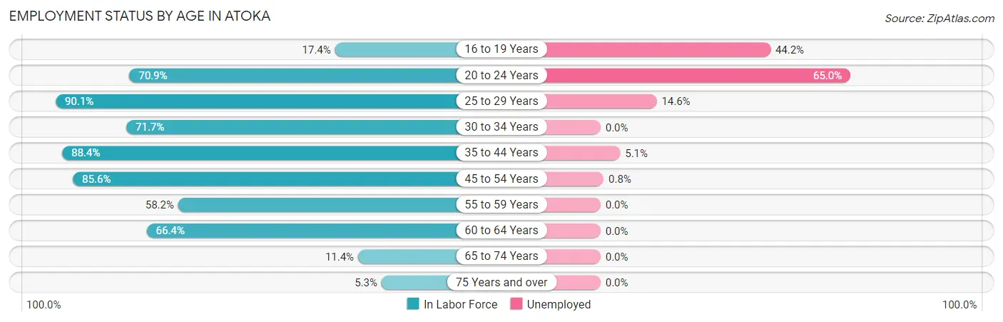 Employment Status by Age in Atoka
