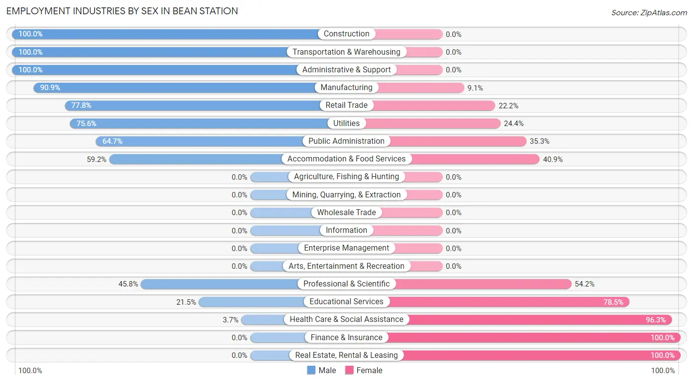 Employment Industries by Sex in Bean Station