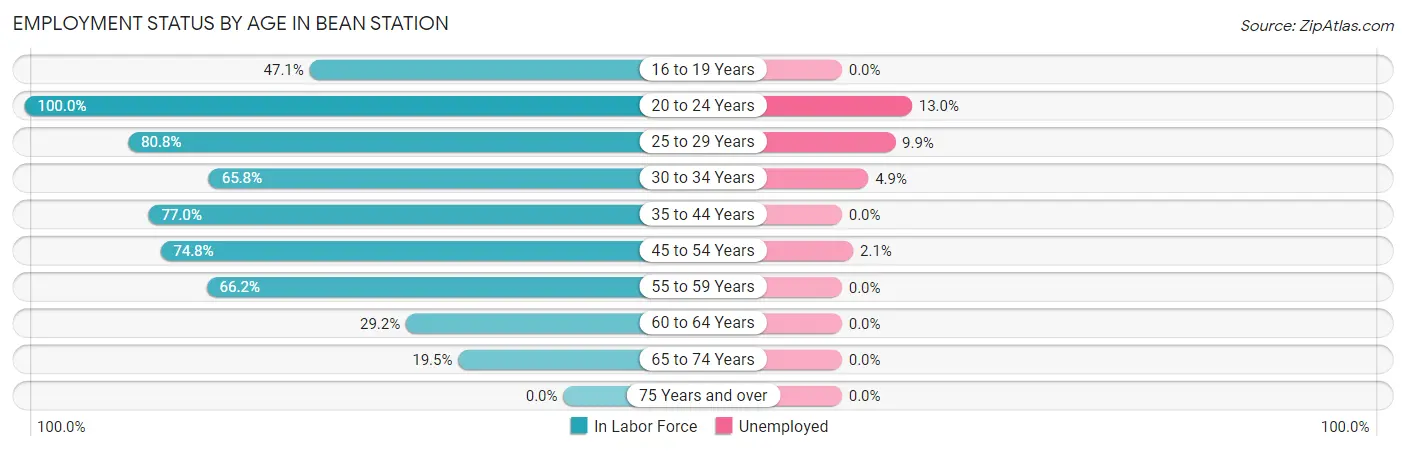 Employment Status by Age in Bean Station